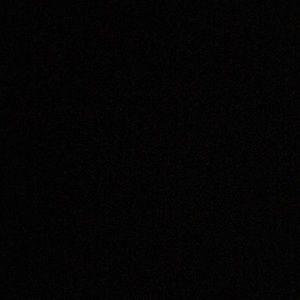 Meet your Posher, Zoey